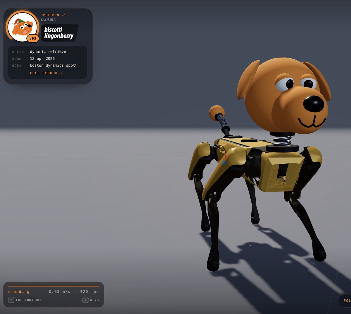 Biscotti Lingonberry: a golden Boston Dynamics Spot robot body with a big friendly cartoon dog head and a springy pom-pom tail.